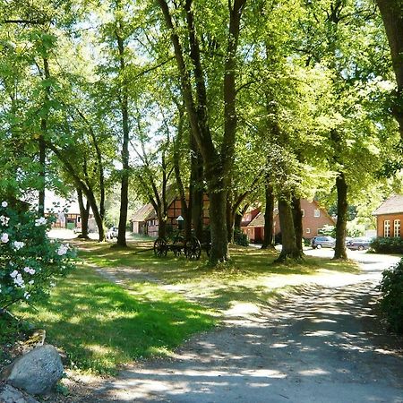 Ferienpension Lindenhof - Ferienwohnungen In Der Lueneburger Heide Marxen am Berge Экстерьер фото