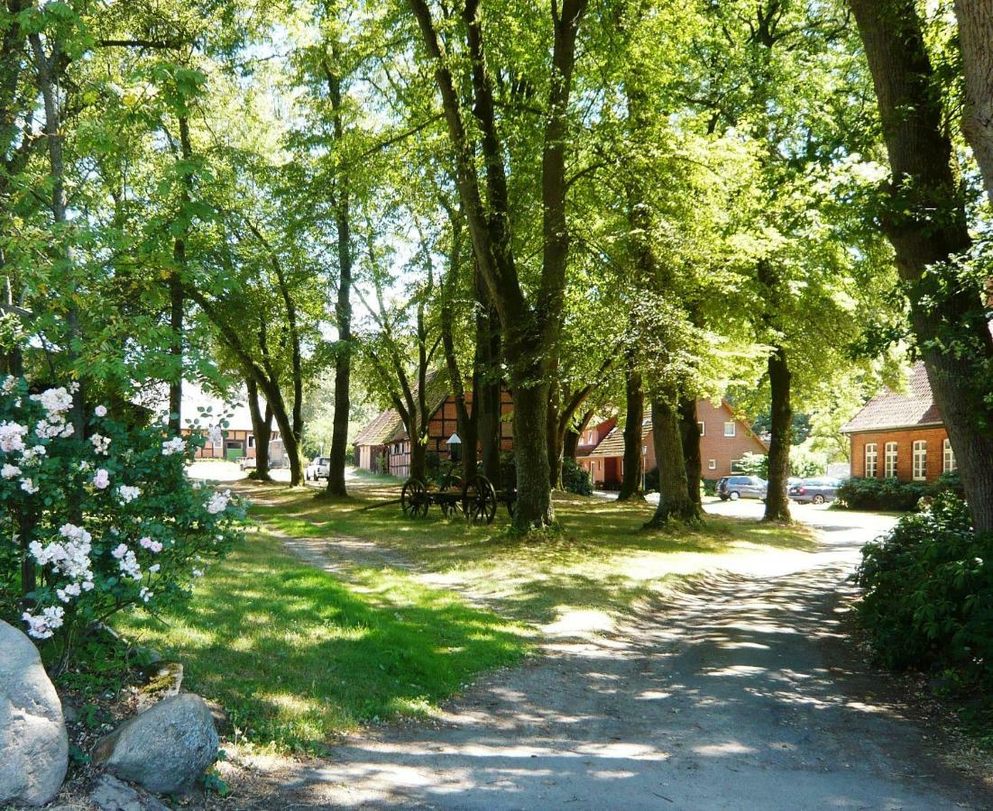 Ferienpension Lindenhof - Ferienwohnungen In Der Lueneburger Heide Marxen am Berge Экстерьер фото