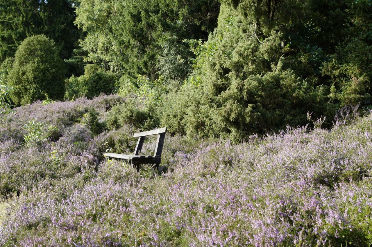Ferienpension Lindenhof - Ferienwohnungen In Der Lueneburger Heide Marxen am Berge Экстерьер фото